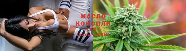 бошки Сясьстрой