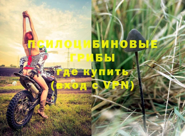 бошки Сясьстрой