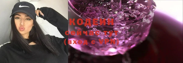винт Вяземский