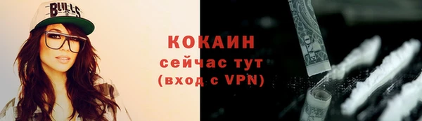 винт Вяземский